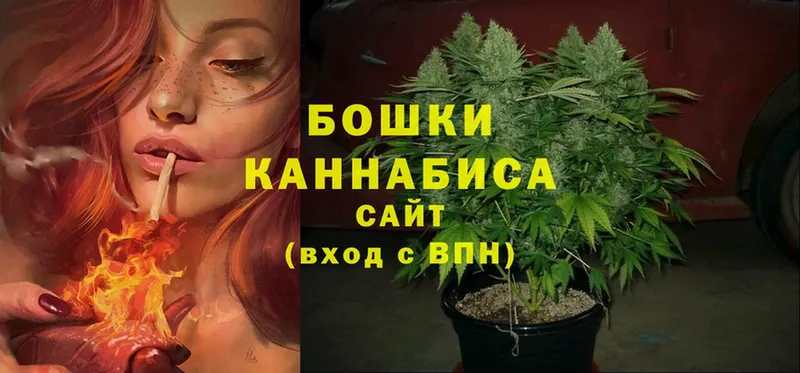 Шишки марихуана сатива  купить   blacksprut ссылка  Шахты 